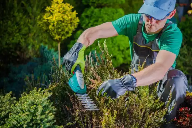 landscaping services East Aurora